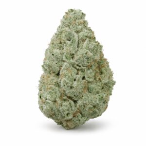 Huala ALM 27/1 – Alien Mints — Cannabisblüte (Symbolbild)
