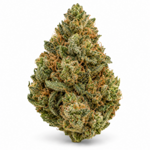 420 Huala 27/1 CIN – Cinderella Kush – Symbolbild